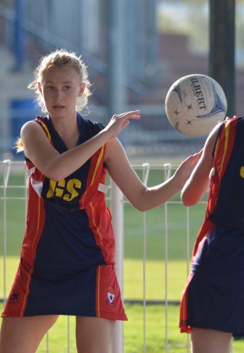 Mobile breadcrumb image of Netbal