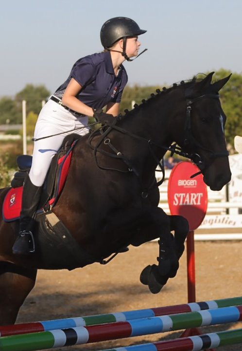 Mobile breadcrumb image of Ruitersport